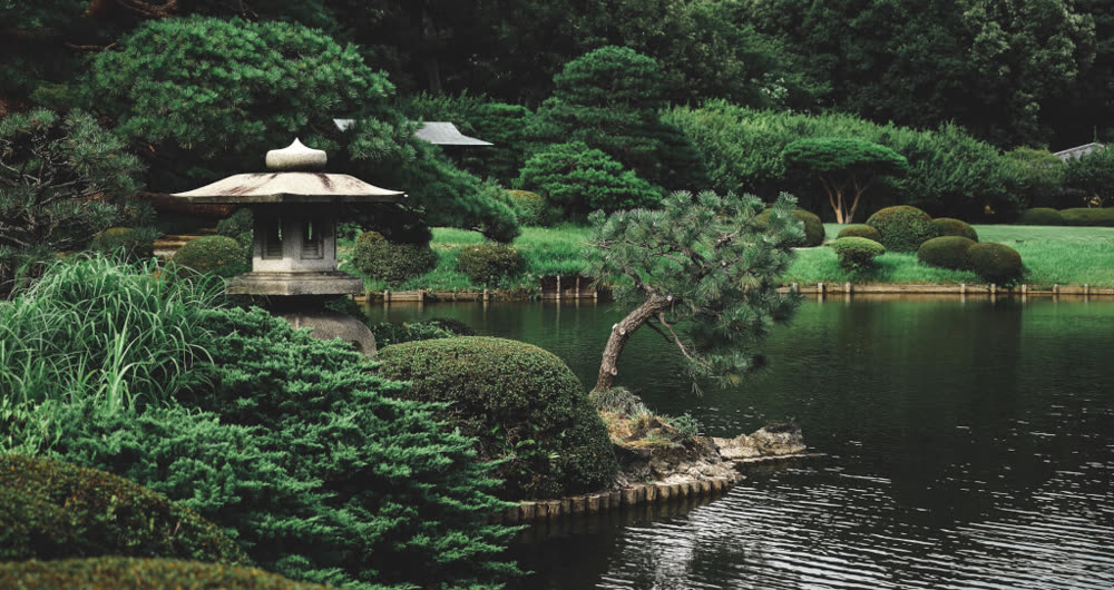 Ruhiger japanischer Garten mit Teich